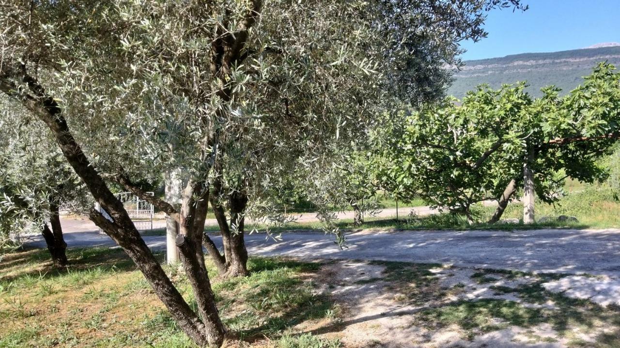 Petivat Gardens Lejlighed Eksteriør billede