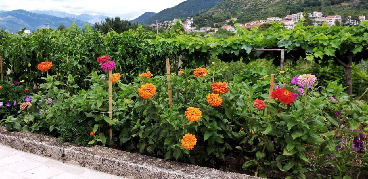 Petivat Gardens Lejlighed Eksteriør billede